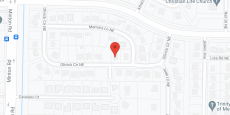 Patricia Jones AFCH in google map