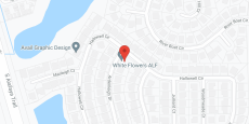 White Flowers in google map