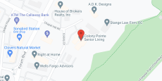 Colony Pointe and Arbors at Colony Pointe in google map