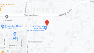 New Dawn Eldercare in google map