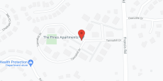 The Pines in google map