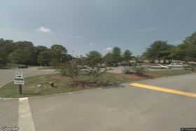 The Pines 