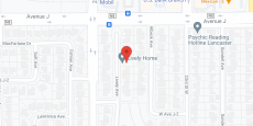 Lively Home in google map