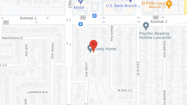 Lively Home in google map