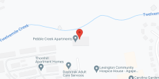 Pebble Creek Senior Apartments in google map