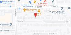 ALOFT Home Care LLC in google map
