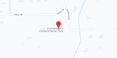Hummingbird Hartland LLC in google map