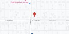 Alegre Care Home in google map