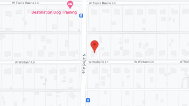 Alegre Care Home in google map