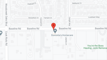 Domnita's Home Care in google map
