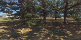 street view of The Oaks