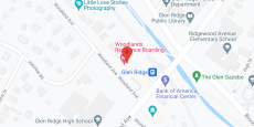 The Woodlands in google map