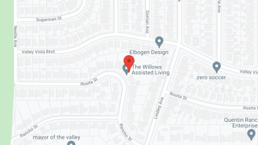The Willows in google map