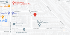 Leslie's Care Home in google map