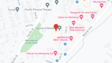 Ivy Park at Monterey in google map