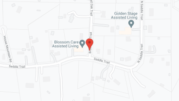Blossom Care Assisted Living LLC in google map