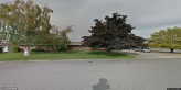 street view of Purity's Calico Cottage AFH