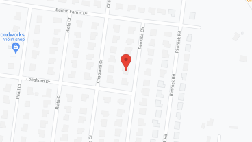 Golden Swan in google map