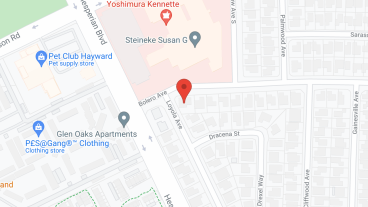 Rayzenn Homes in google map