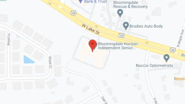 Bloomingdale Horizon in google map