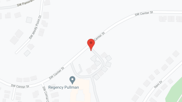 Regency Pullman in google map