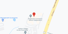 Brightview Commons in google map