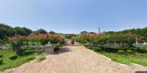 street view of Golden Retreat at McDonough