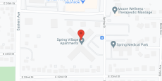 Spring Village in google map
