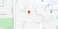 Golden Girls in google map