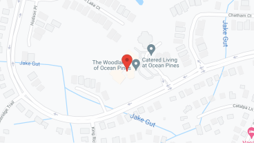 The Woodlands in google map