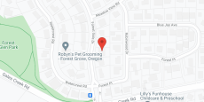 Forest View Adult Care Home in google map
