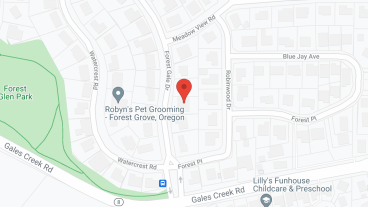 Forest View Adult Care Home in google map