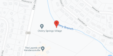 Cherry Springs Village in google map