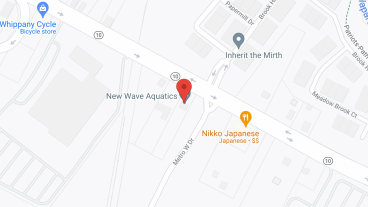 Weston Assisted Living in google map