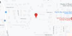 Elite Care AFH in google map