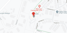 The Willow in google map