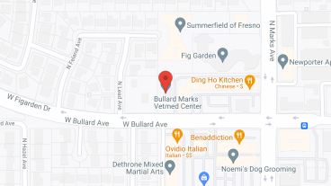 Sierra Palace II in google map