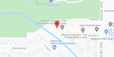 The Polonaise at Wilson Commons in google map