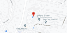 The Meadows of Salem Run in google map
