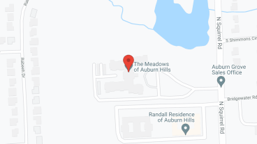 The Meadows of Auburn Hills in google map