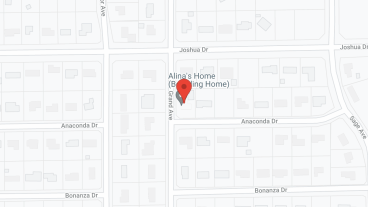 Alina's Home in google map