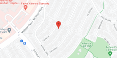 Circle of Life II in google map