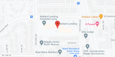 Mallard Landing in google map