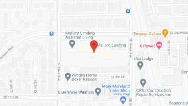 Mallard Landing in google map