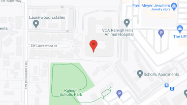 Courtyard Village at Raleigh Hills in google map