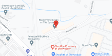 Brandywine at Sycamore in google map