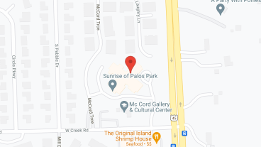 Sunrise of Palos Park in google map