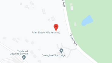 Palm Shade Villa in google map