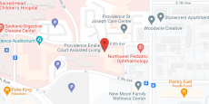 Providence Emilie Court in google map