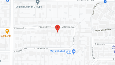 David Angelee and Meril Group in google map